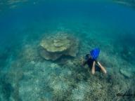 Blue Caledonia Freediving