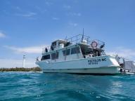 Blue Caledonia Diving